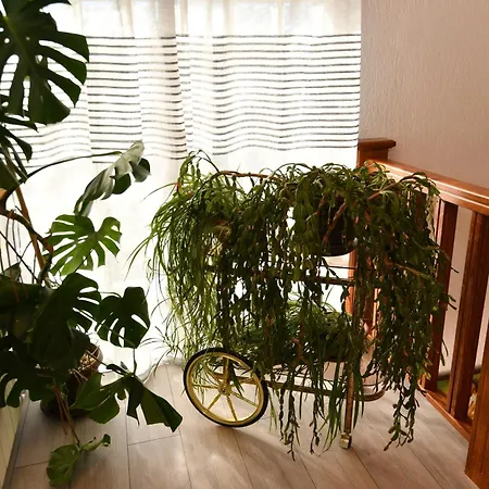 佩里奇公寓酒店