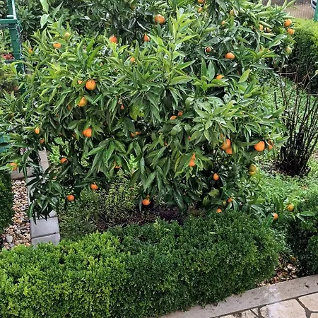 佩里奇公寓酒店 公寓