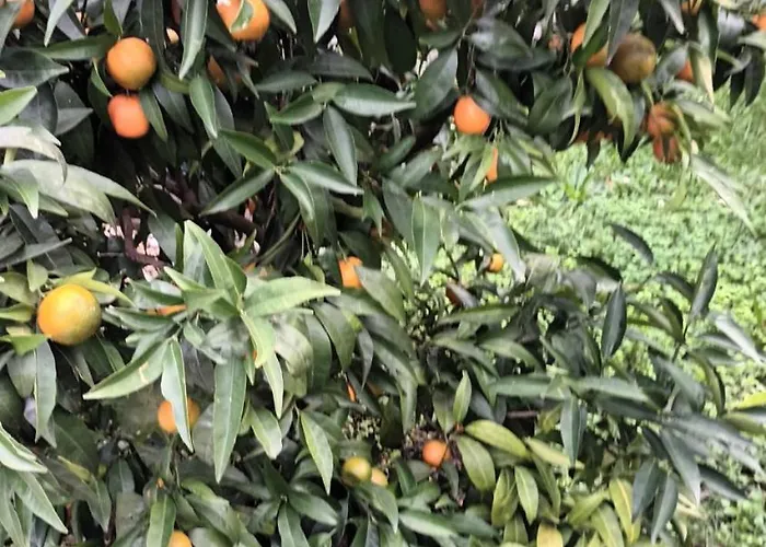 Peric Apartman Abbázia